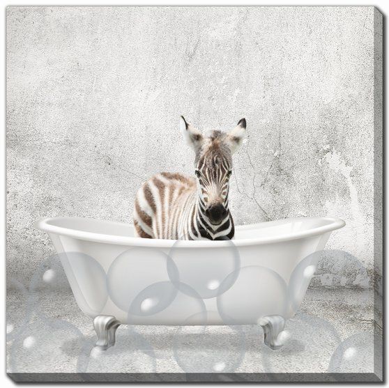 BABY ZEBRA BATH CANVAS