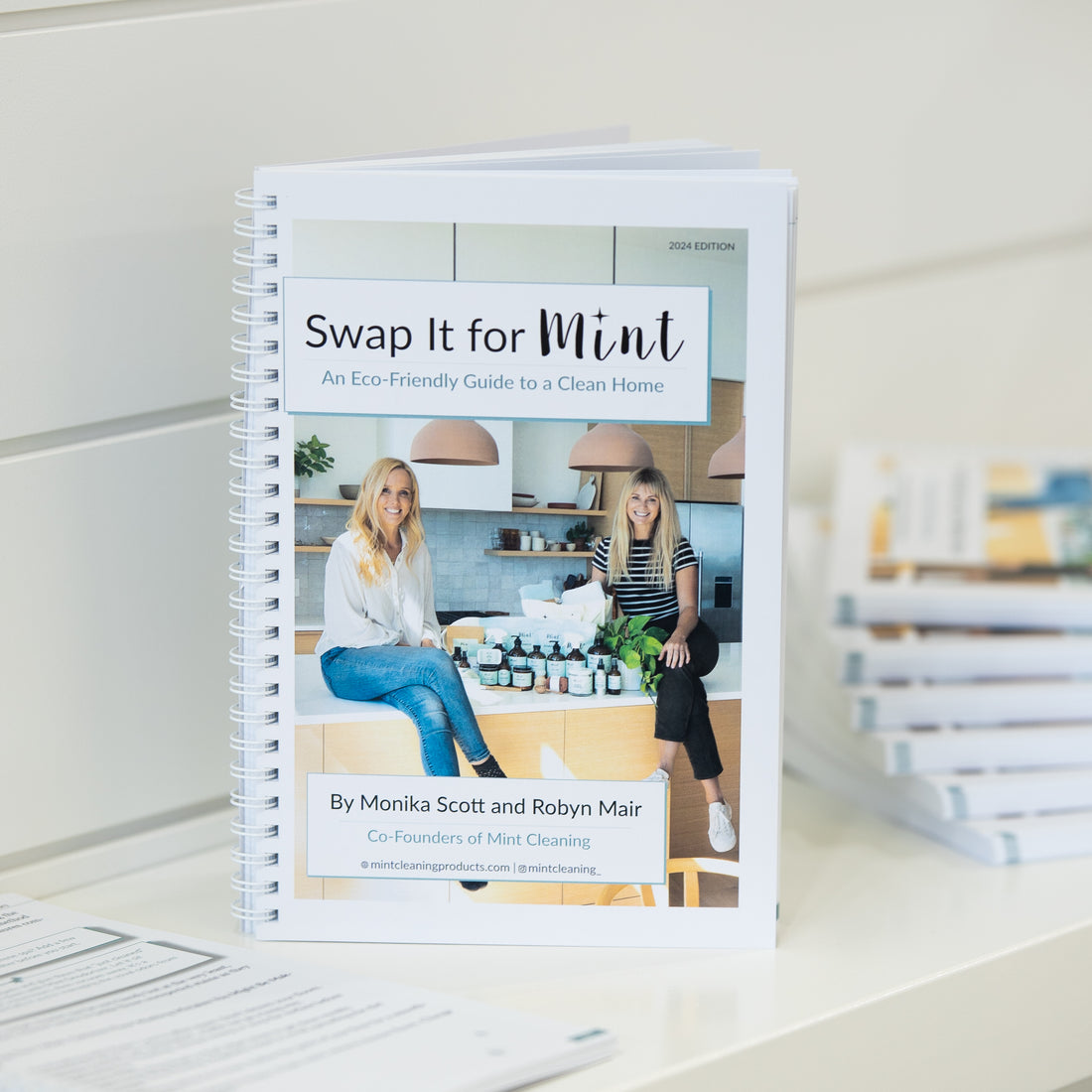 SWAP IT FOR MINT BOOK