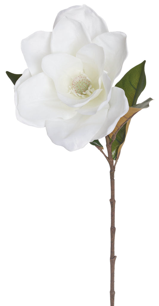 MAGNOLIA SPRAY STEM