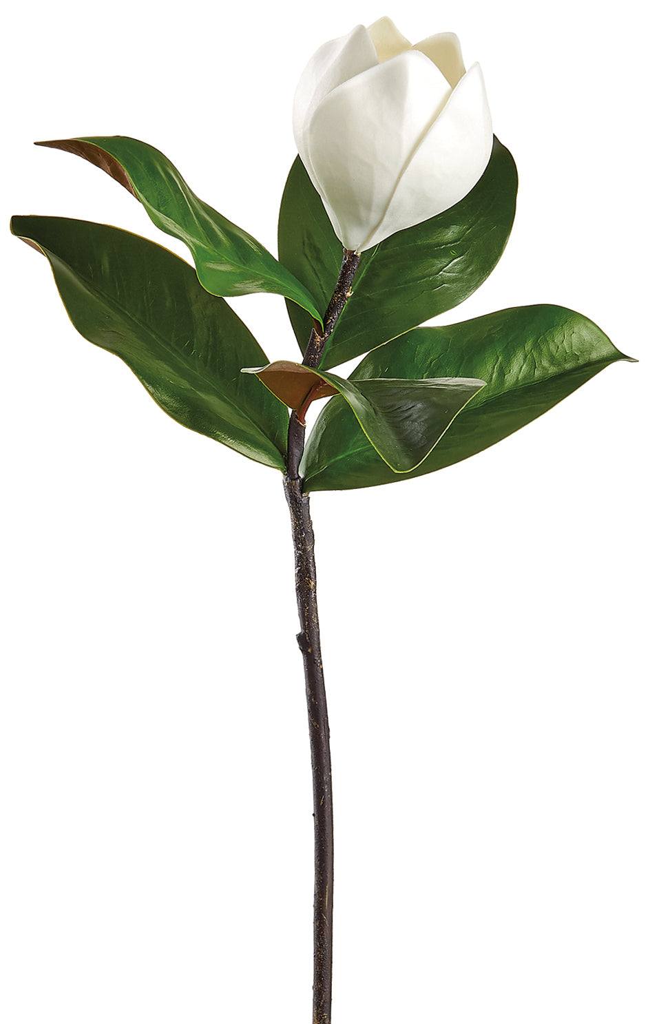 MAGNOLIA BUD SPRAY