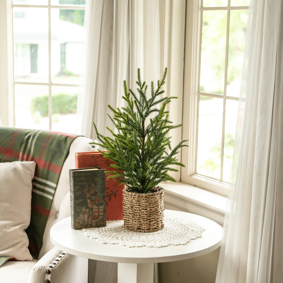 AUSTRIAN PINE TREE IN BASKET