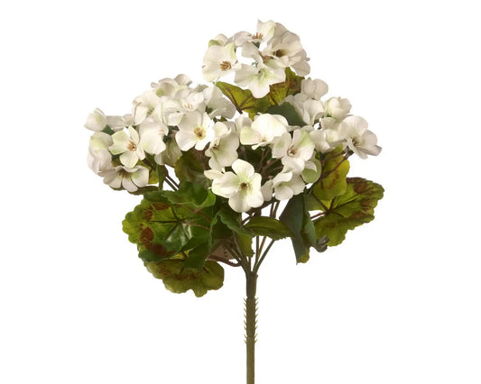 UV PROTECTED GERANIUM BUNCH