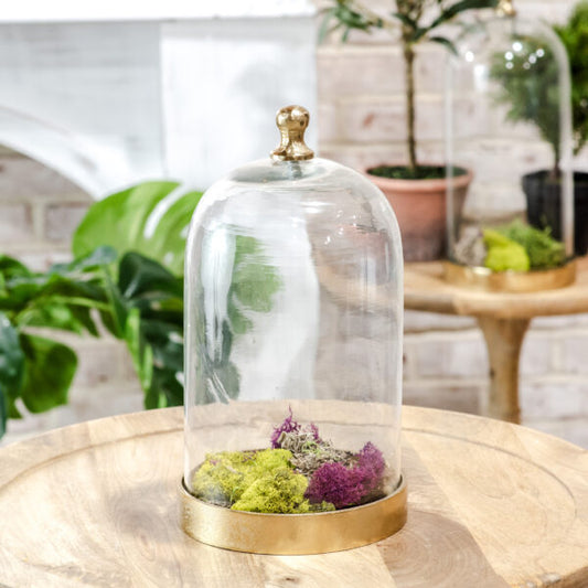 GLASS CLOCHE W/ GOLD BASE
