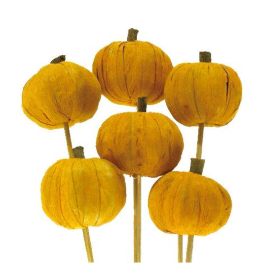 PUMPKINS ON STEM- ORANGE