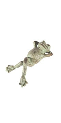 RELAXING FROG