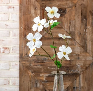 WHITE DOGWOOD FLOWER STEM