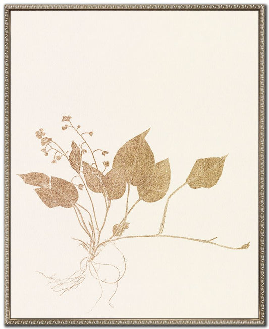 FLORAL TRACE CANVAS