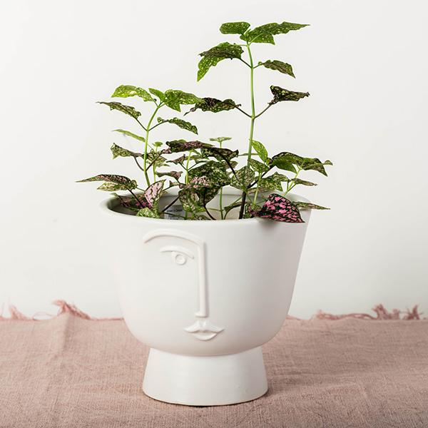 MODERN FACE FLOWER POT