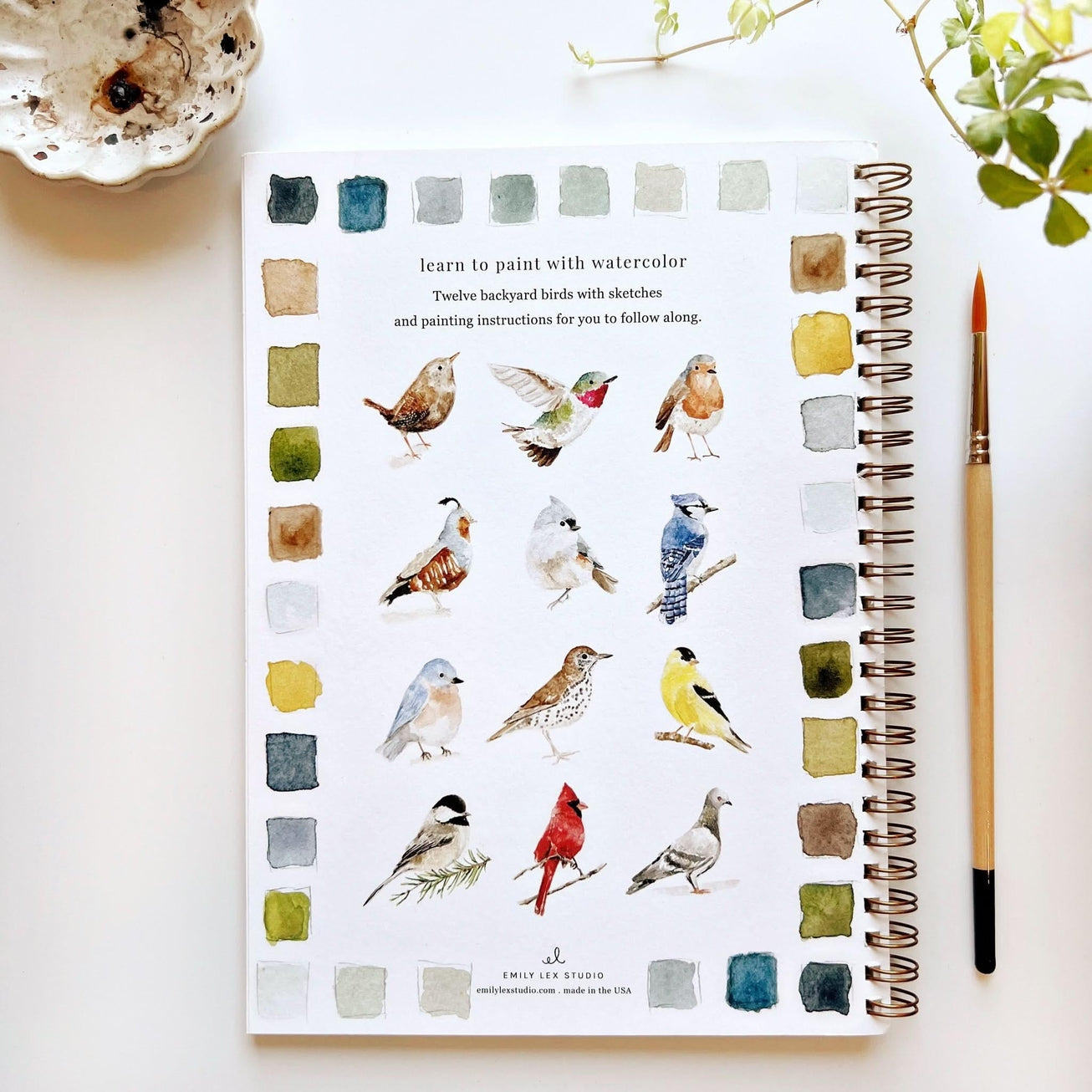 BIRDS WATERCOLOUR WORKBOOK