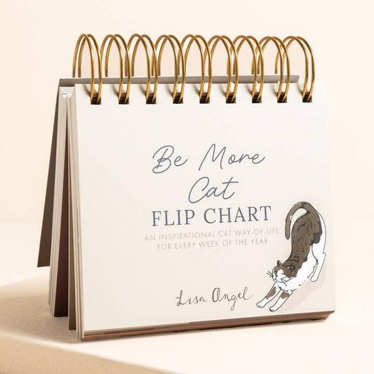 BE MORE CAT FLIP CHART
