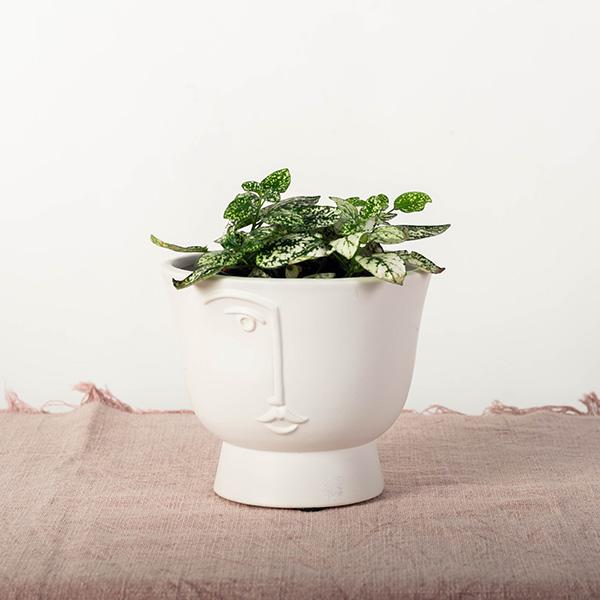 MODERN FACE FLOWER POT