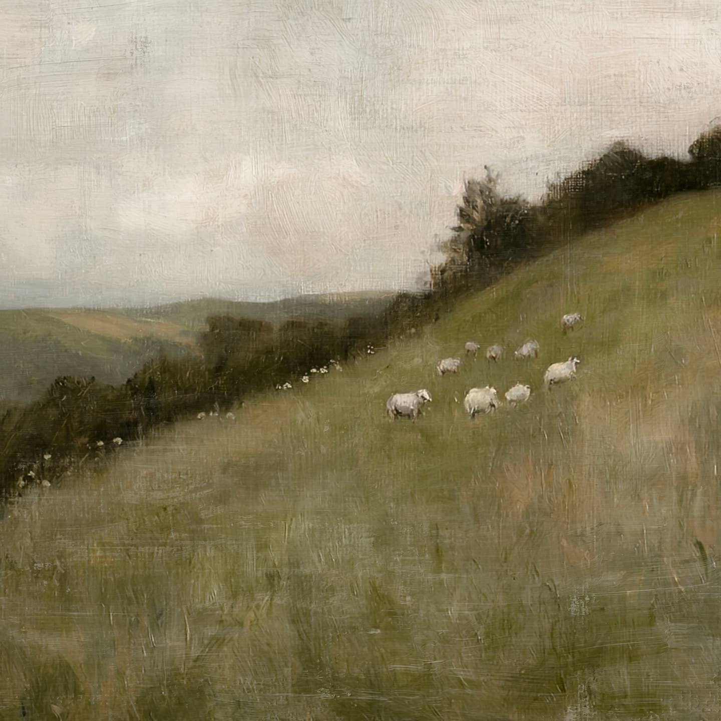 SOFT SHEEP LANDSCAPE CANVAS PRINT
