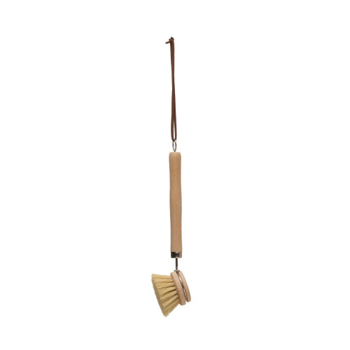 DISH BRUSH W/ HANDLE