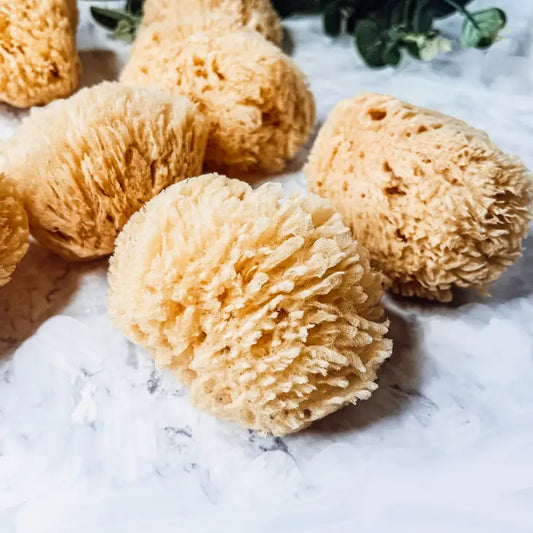 DEAD SEA SPONGE - LOOFAH